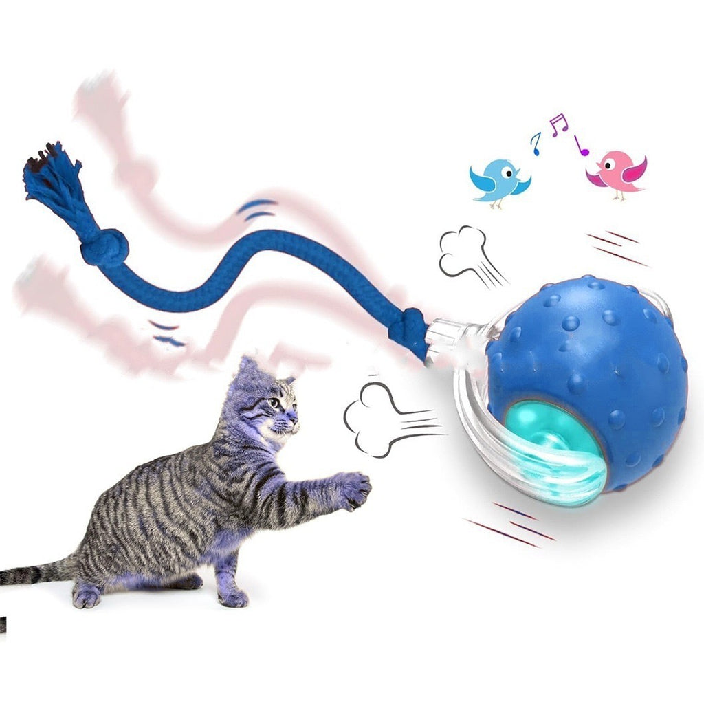 Interactive Cat Toy Ball Super Drive Cat Rolling Ball — Cat Toys | GetPawsy