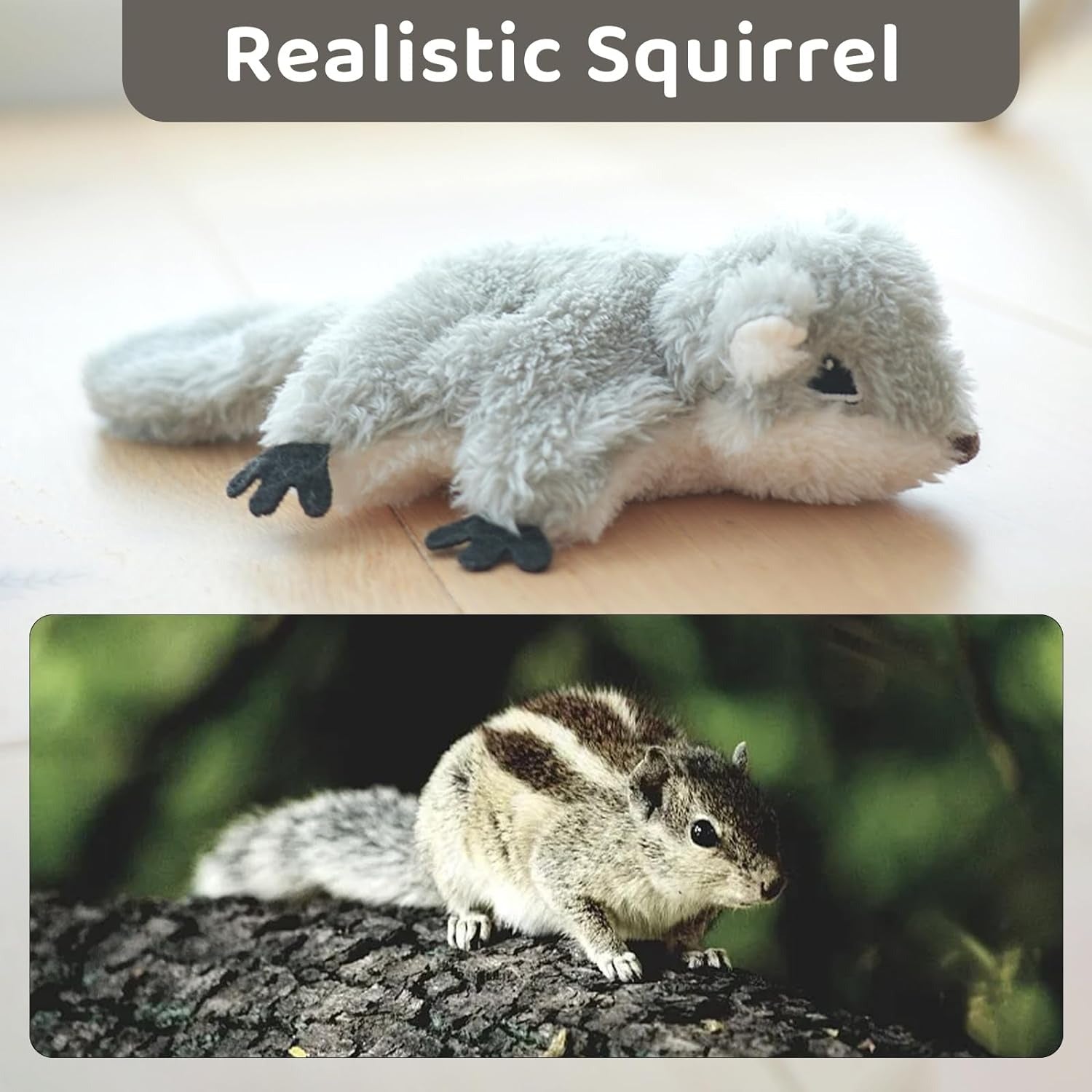 Interactive Catnip Toy – Rechargeable Flapping Squirrel for Kittens — Cat Toys | GetPawsy