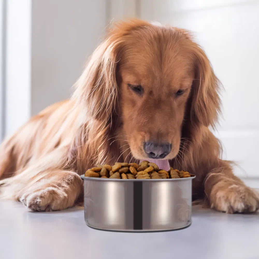 Hanging Dog Bowl – Stainless Steel Food & Water Bowl for Cages — Dog Bowls & Feeders | GetPawsy