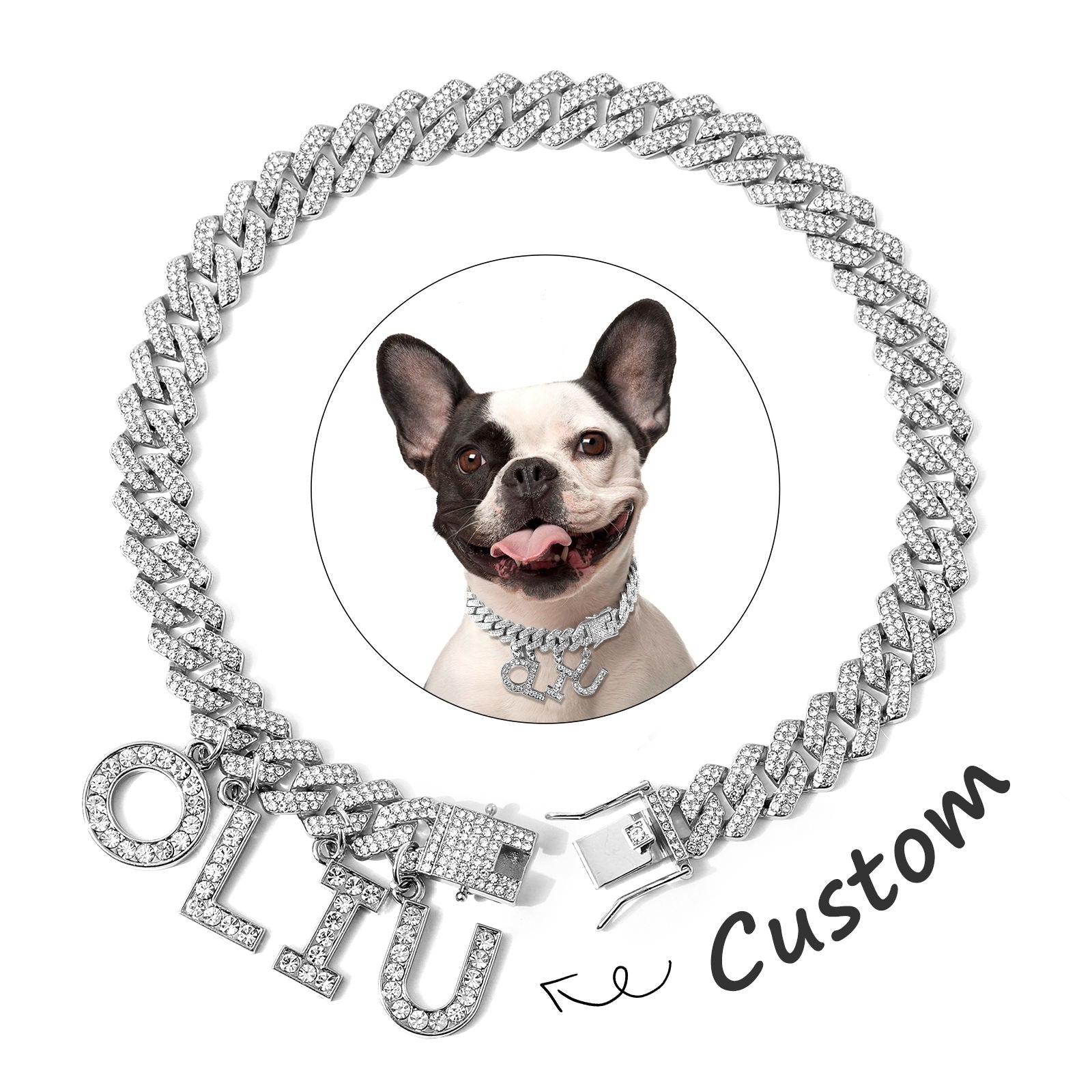 Luxury Dog Collar – Durable Alloy Hardware for Dogs — Dog Collars & Leashes | GetPawsy
