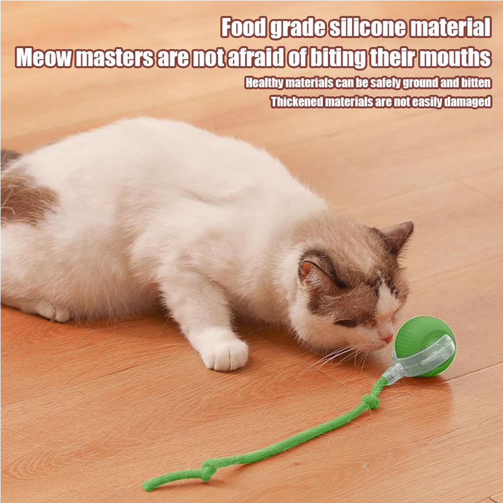 Electric Dog Cat Ball Toy,Indoor Large And Small Cat Dog Interactive Intelligent Rolling Pet Ball — Pet Chase Toys | GetPawsy