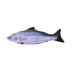 Without Cat Nip Version - Electric Jumping Fish Simulation Electric Fish Toy — Pet Supplies > Pet Toys > Pet Training and Edu