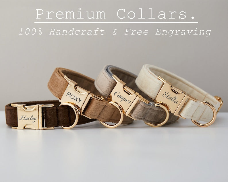Personalized Dog Collar & Leash Set – Velvet with Bow Tie for Dogs — Dog Collars & Leashes | GetPawsy