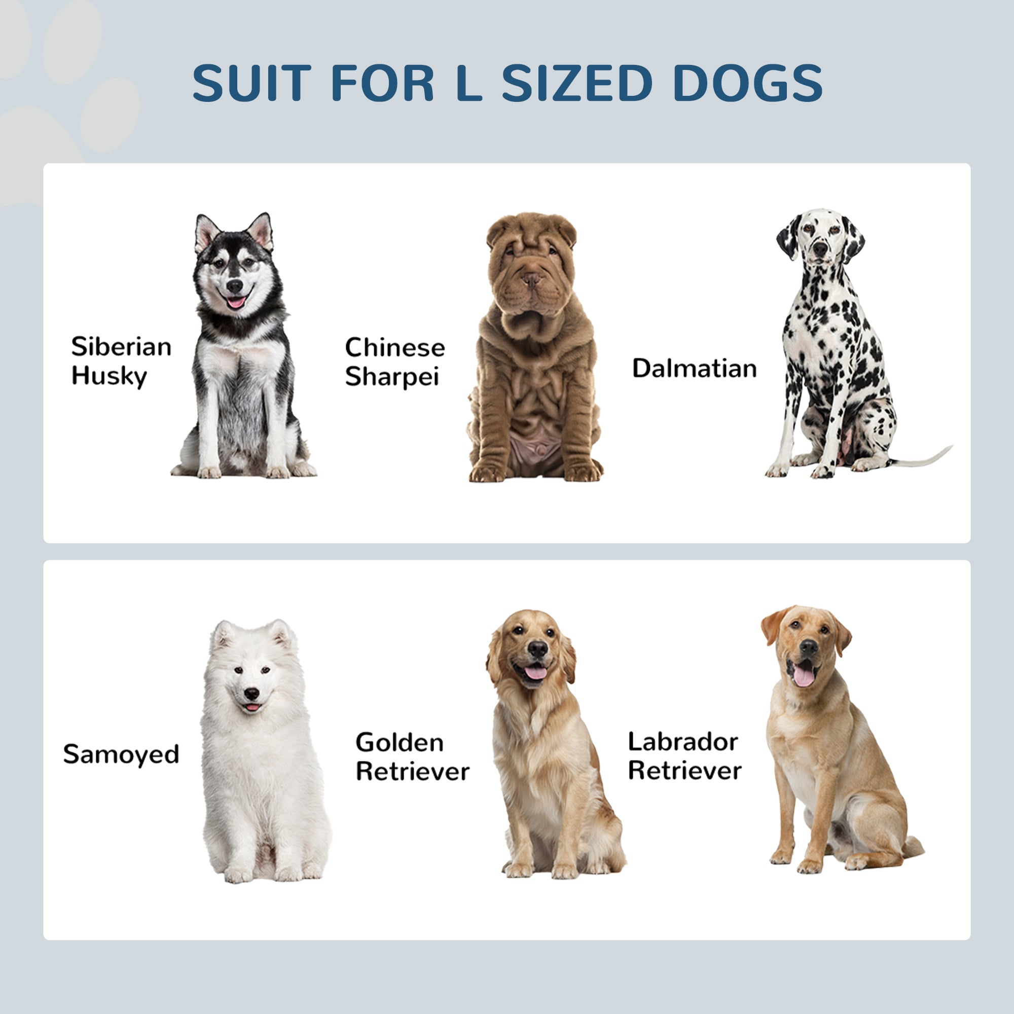  Elevated Dog Bowls with Storage Drawer, Raised Dog Bowl Stand Pet Food Bowl Dog Feeding Station, Black — Dog Bowls & Feeders