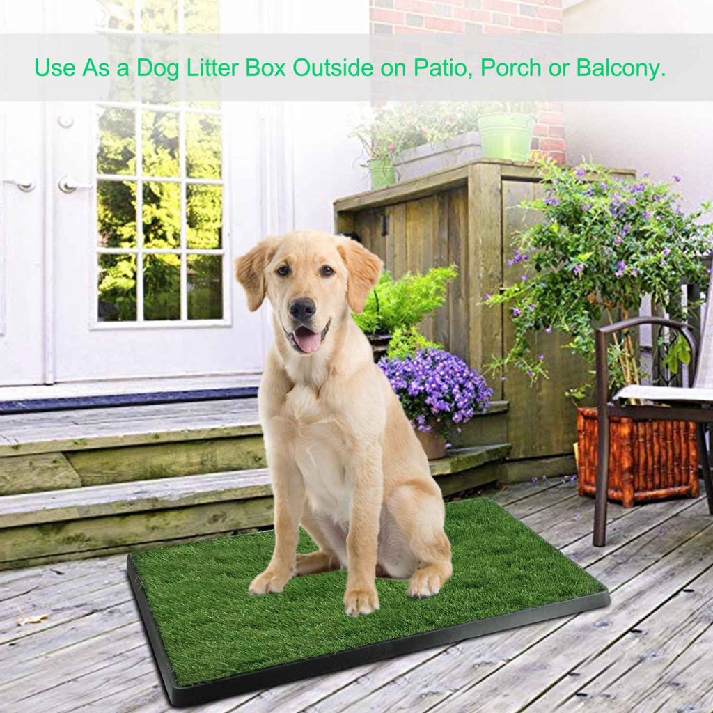 Dog Potty Training Pad – Artificial Grass Mat with Loo Tray for Puppies — Dog Training | GetPawsy