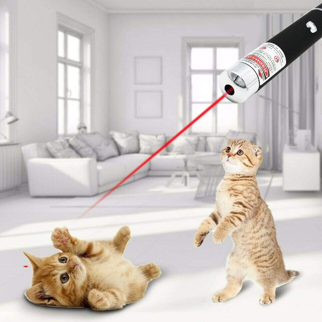 Automatic Cat Toy – Laser Pointer with LED Light for Cats — Cat Toys | GetPawsy