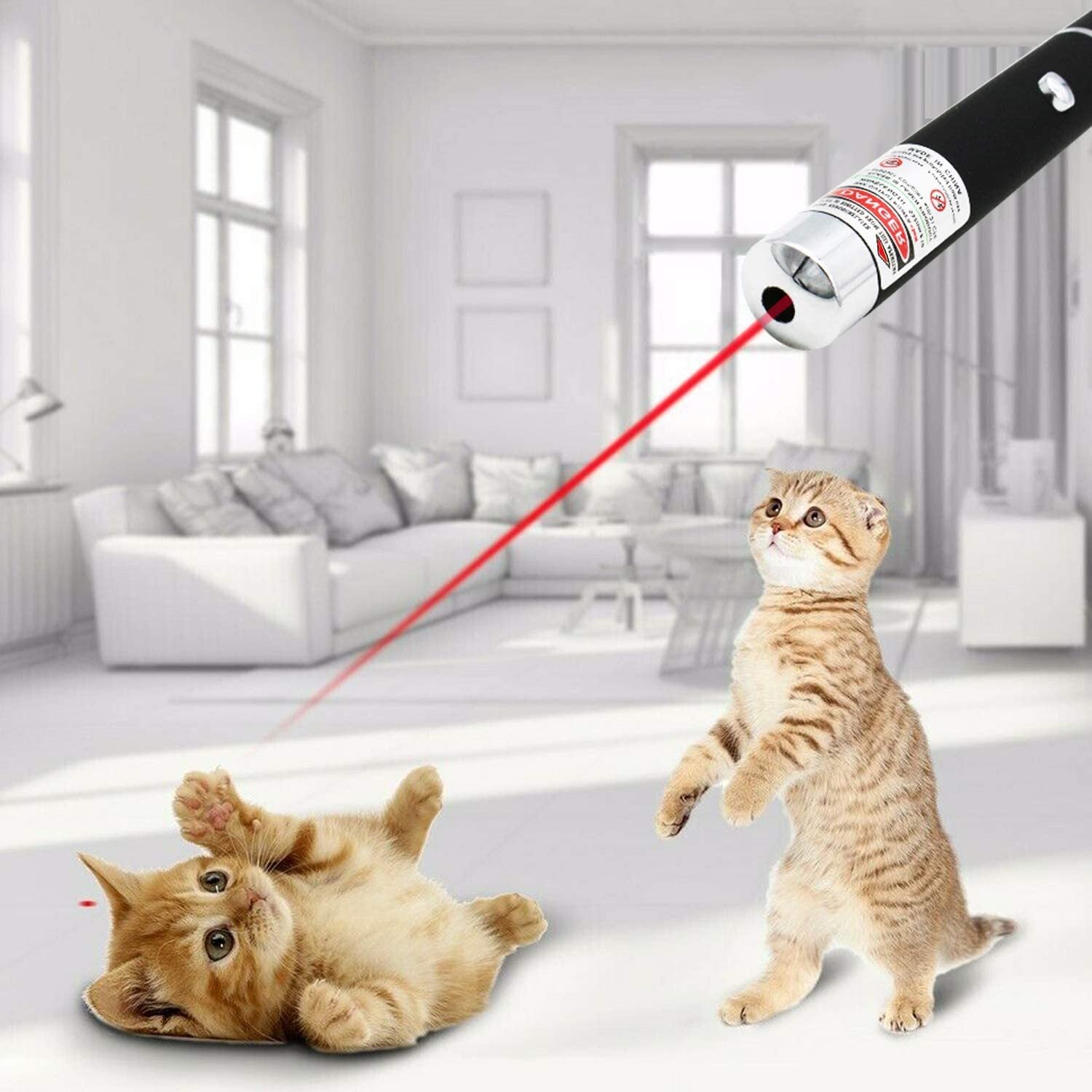 Automatic Cat Toy – Laser Pointer with LED Light for Cats — Cat Toys | GetPawsy