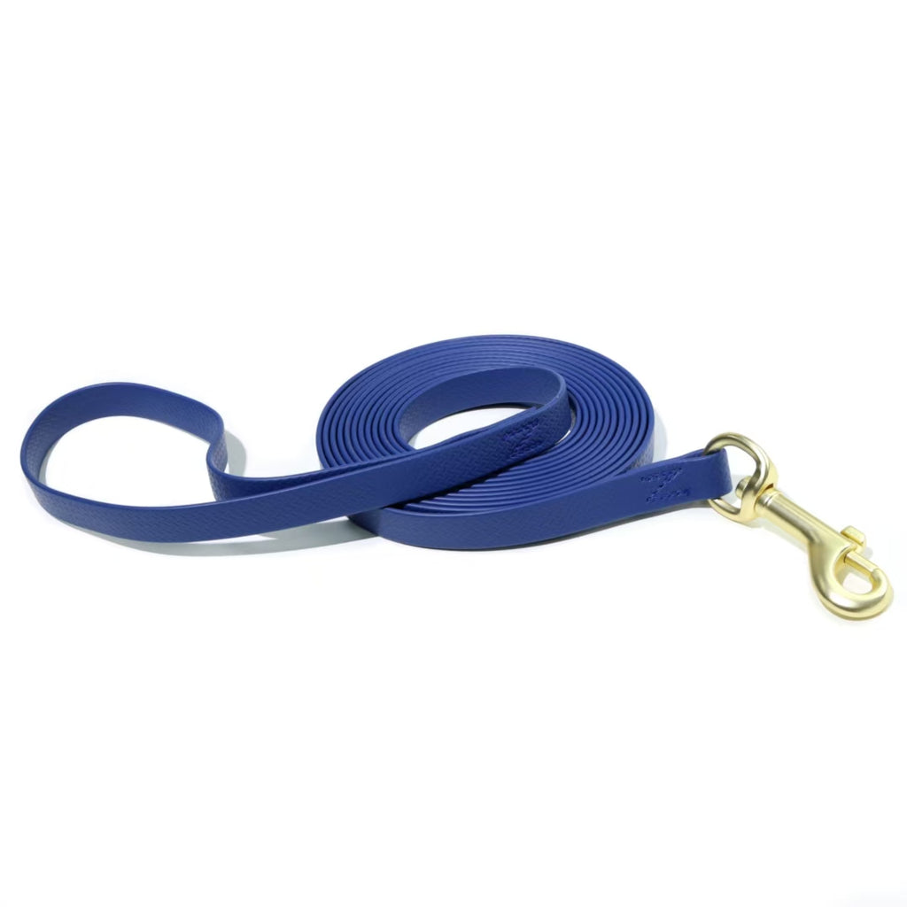 Dog Training Rope – Embossed Recall & Tracking Tool for Dogs — Dog Training | GetPawsy