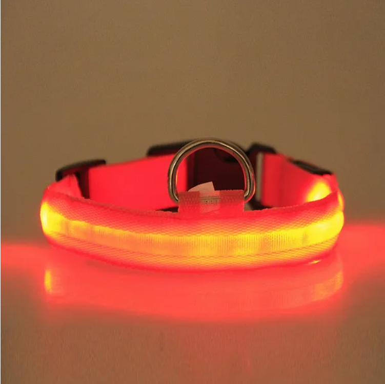 LED Dog Collar – High Visibility Safety Halo Style for Dogs — Dog Collars & Leashes | GetPawsy