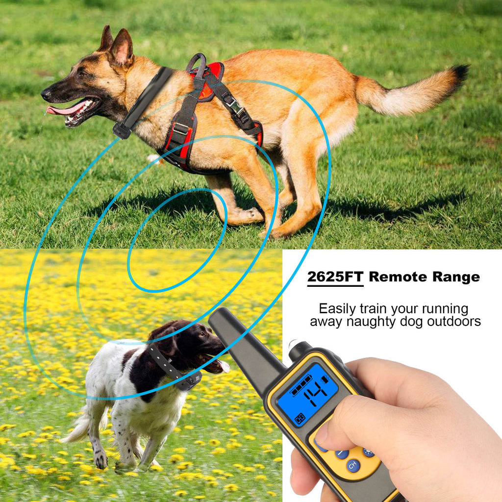 Durable Dog Training Collar – Waterproof Remote with 4 Modes — Dog Training | GetPawsy