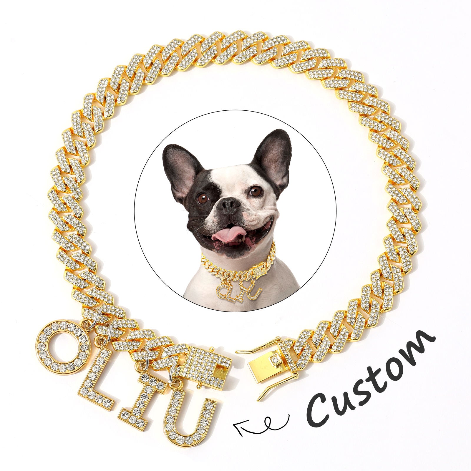 Luxury Dog Collar – Durable Alloy Hardware for Dogs — Dog Collars & Leashes | GetPawsy