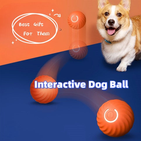 Durable Dog Chew Toy – Rubber Resistance Ball for Puppy Training — Dog Toys | GetPawsy