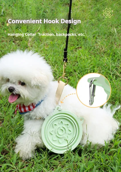 Foldable Dog Travel Bowl – 3-in-1 Slow Feeder with Suction Cups — Dog Bowls & Feeders | GetPawsy