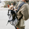 Dog Carrier Backpack – Portable Double Shoulder Travel Bag for Dogs — Dog Travel | GetPawsy