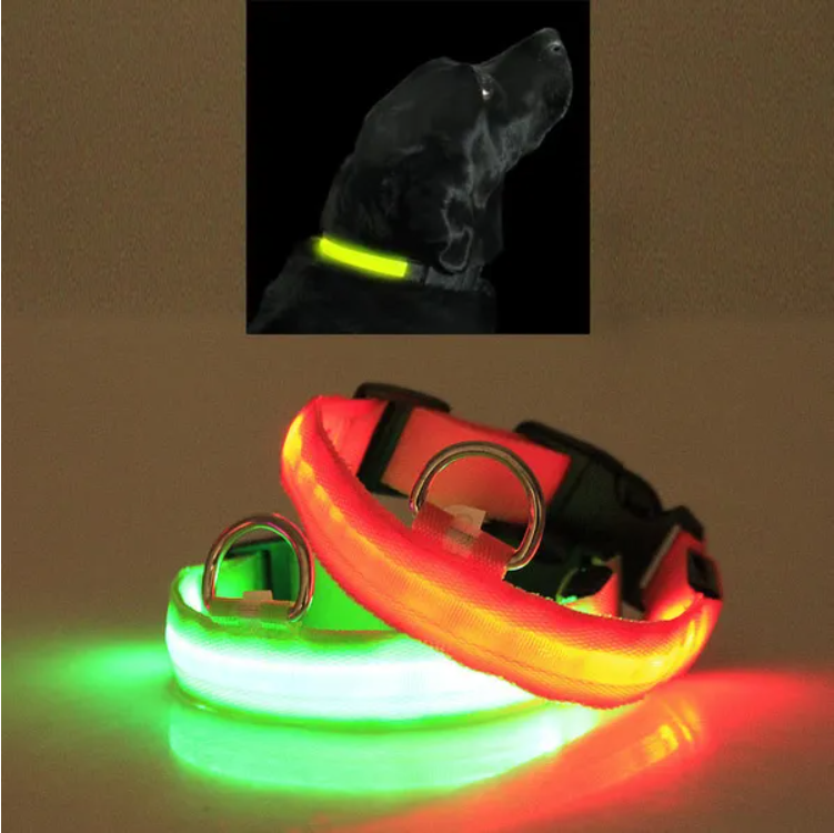 LED Dog Collar – High Visibility Safety Halo Style for Dogs — Dog Collars & Leashes | GetPawsy